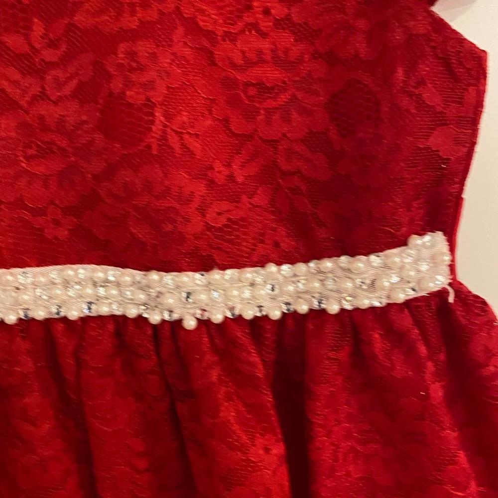 Beautiful Jayne Copeland dress. Great for Christmas!